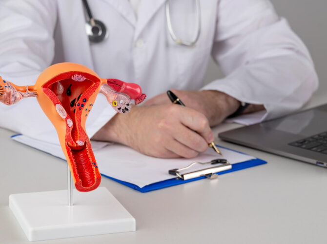 Lekarz w białym fartuchu siedzi przy biurku, pisząc notatki na kartce, a przed nim stoi model anatomiczny żeńskiego układu rozrodczego. Na biurku znajduje się laptop i clipboard z dokumentami. Scena przedstawia gabinet lekarski.